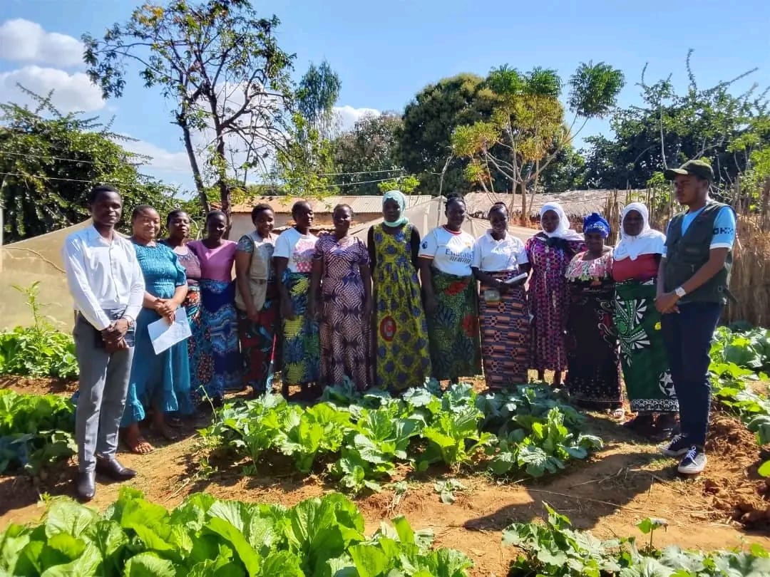 The Seed That Refused to Die
